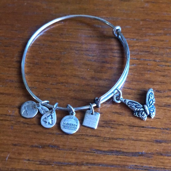 🦋Alex and Ani 🦋 Charm Bracelet - Picture 4 of 6